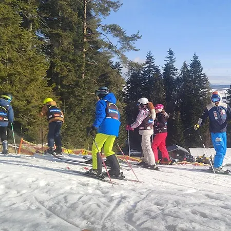Alpesi faház Mis Na Stoku *