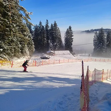 Alpesi faház Mis Na Stoku *